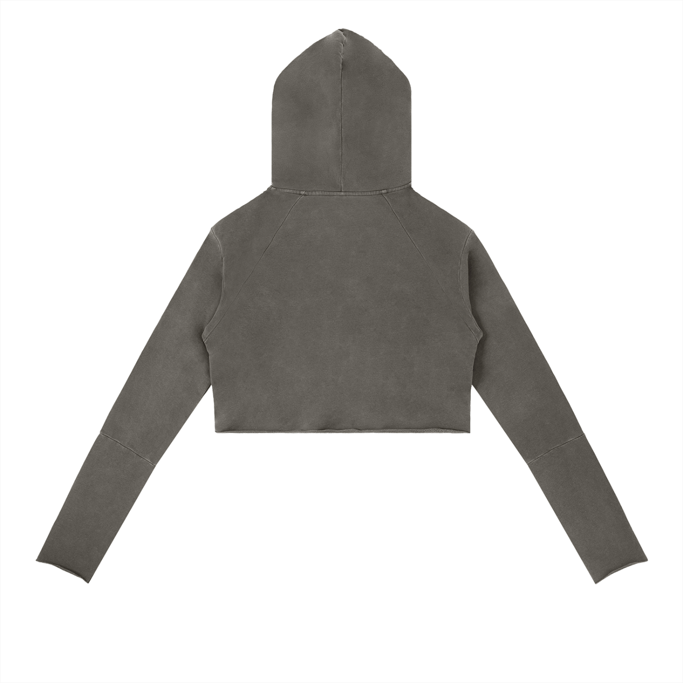 Always Been Great Dragon Cropped Women's Hoodie