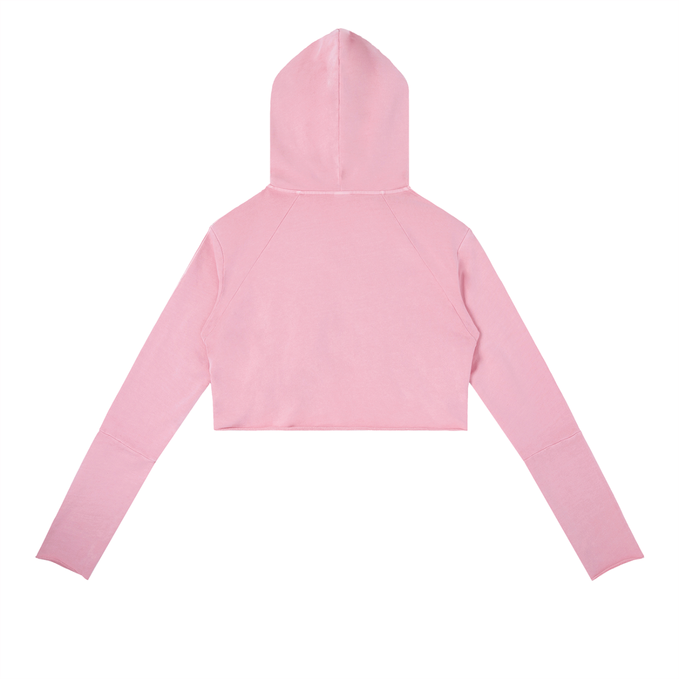 Always Been Great Dragon Cropped Women's Hoodie